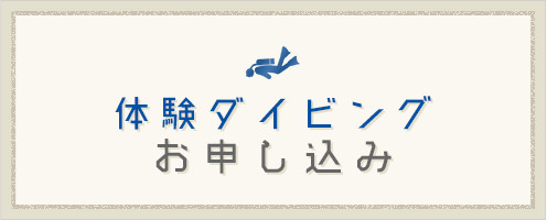 体験ダイビングお申し込み