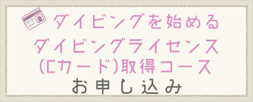 ダイビングを始める Cカード取得コース お申し込み