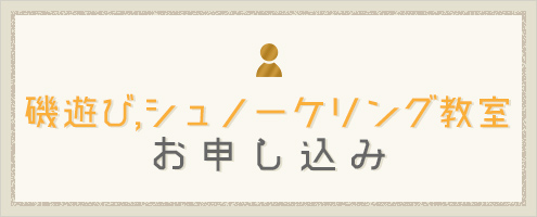 磯遊び、シュノーケリング教室 お申し込み