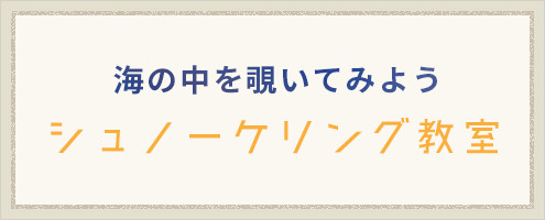 海の中を覗いてみよう シュノーケリング教室