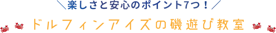 楽しさと安心のポイント7つ！ドルフィンアイズの磯遊び教室