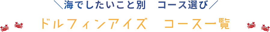 ドルフィンアイズ　コース一覧