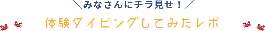 体験ダイビングしてみたレポ