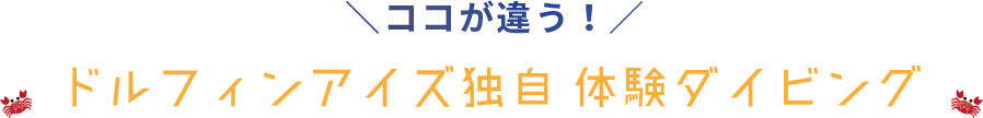 ココが違う！ドルフィンアイズ独自　体験ダイビング