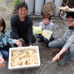 伊豆でタケノコ掘り,雨予報も晴れに！