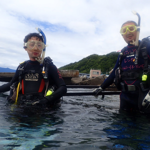 相模原より体験ダイビング,獅子浜でパンダ出現