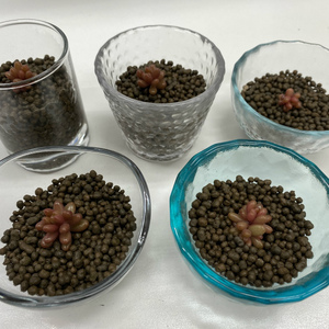 自粛の今やろうシリーズ①:レンタル器材の整理＆癒しの花壇計画