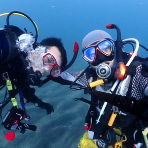 漁礁作りが大躍進,生物も秋の海の岩でダイビング