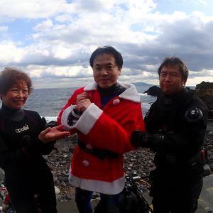 久しぶりの海洋公園ダイビング,珍しい魚のオンパレード