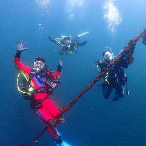 平日貸切熱海ボートダイビング,サプライズ生物登場