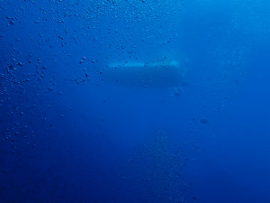 P1130043