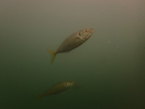 P9230022