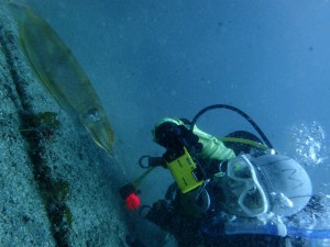 P4020005