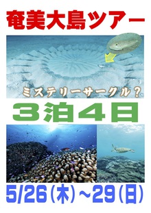 海中ミステリーサークルツアー@奄美大島