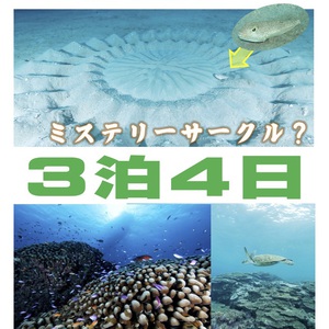 海中ミステリーサークルツアー@奄美大島