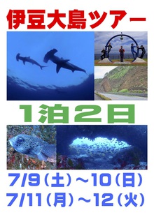 平日も！週末も！伊豆大島1泊2日早朝ハンマーヘッドツアー