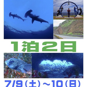 平日も！週末も！伊豆大島1泊2日早朝ハンマーヘッドツアー