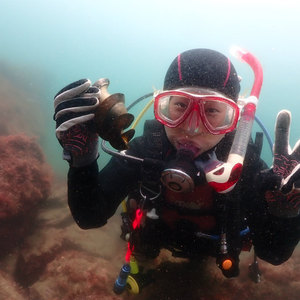 福浦でファンダイビング,こちらもイカ祭り