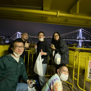 野生のイルカと一緒に泳ぐ,三宅島御蔵島ツアー