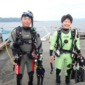 強い流れの中の獅子浜ダイビング