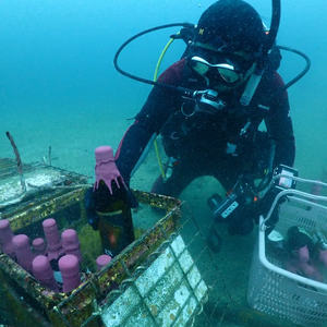 海底熟成酒,新シール材の実験開始