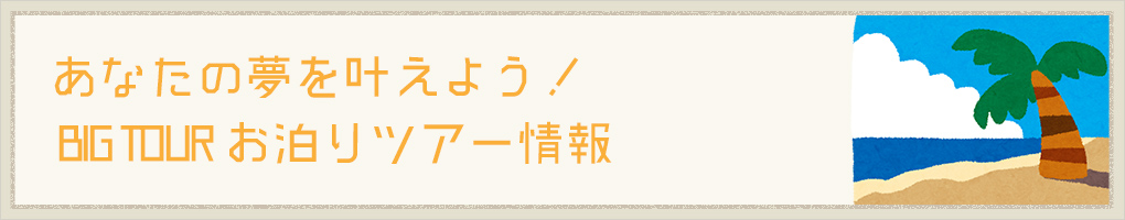 あなたの夢を叶えよう！ BIG TOUR お泊りツアー情報