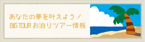 あなたの夢を叶えよう！ BIG TOUR お泊りツアー情報